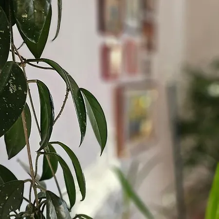 Hondo Apartment Sarajevo